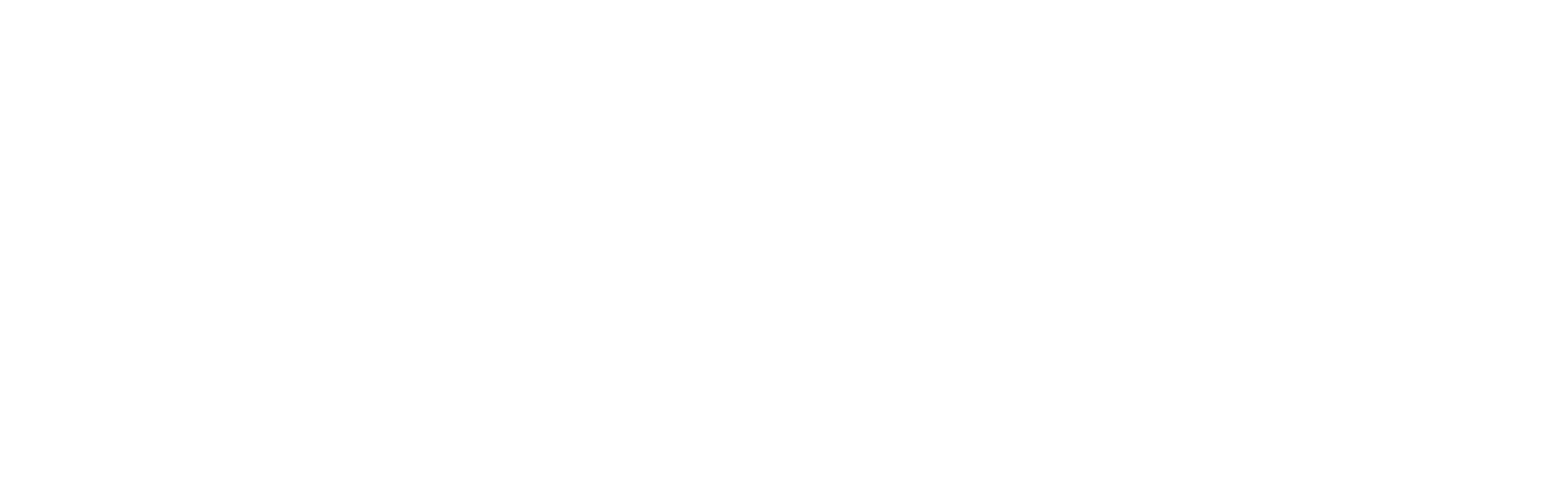 Ghostsim